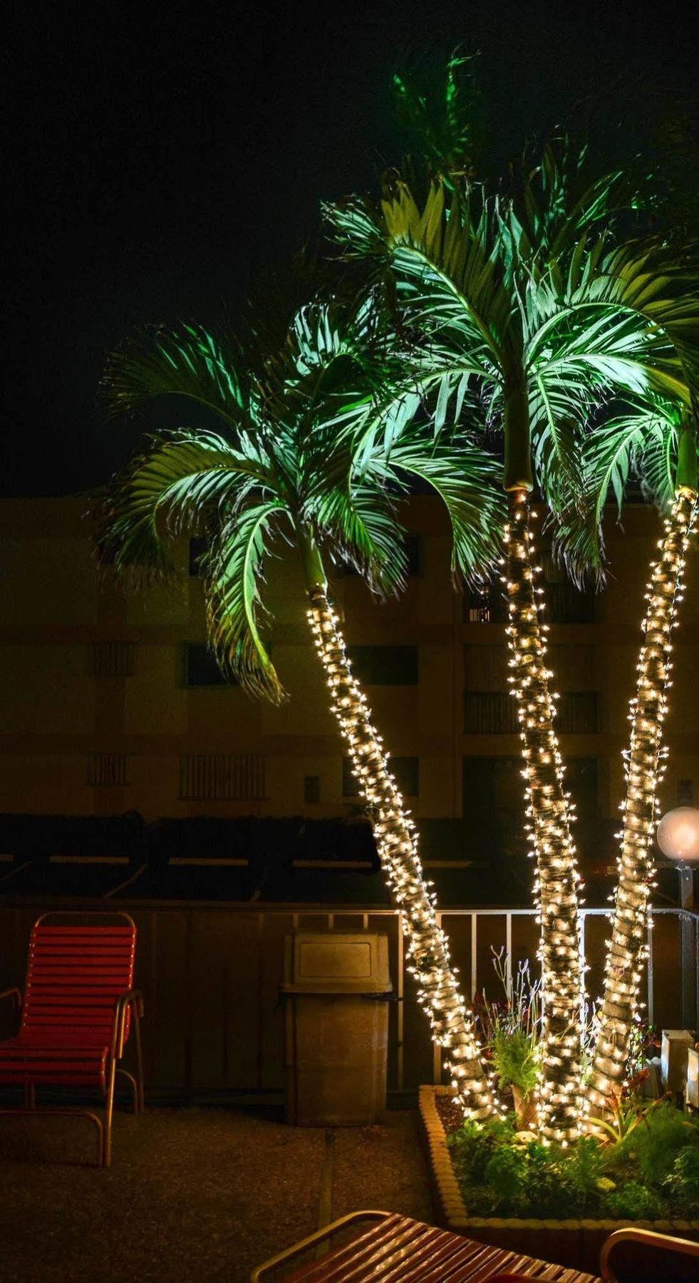 Lauderdale-by-the-Sea Sea Cliff Hotel מראה חיצוני תמונה